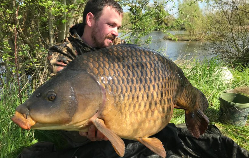 Etang de Orconte