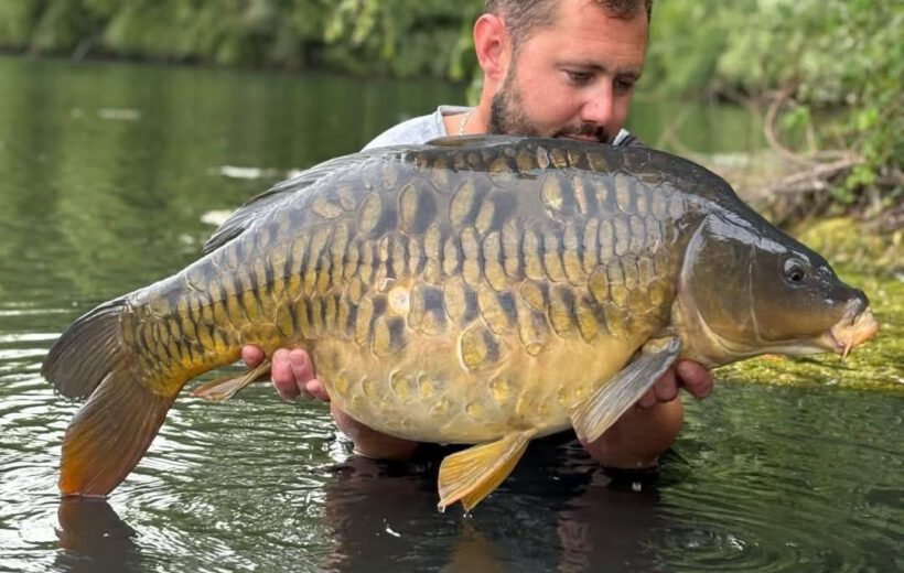 Etang de Regnellerie