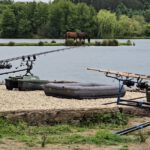 Gallery Thumbnail 10