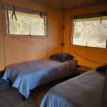 Gallery Thumbnail 17