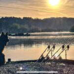 Gallery Thumbnail 11